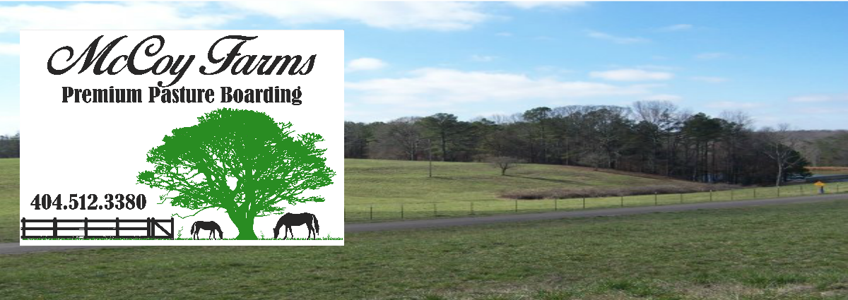 McCoy Farms LLC